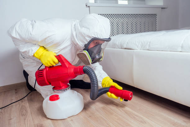 Best Residential Pest Control  in Paxton, IL